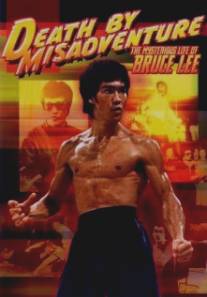 Бессмертие Брюса Ли/Death by Misadventure: The Mysterious Life of Bruce Lee (1993)