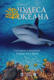 Чудеса океана 3D/Ocean Wonderland (2003)