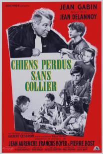 Бродячие собаки без ошейников/Chiens perdus sans collier (1955)