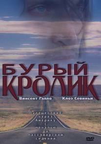 Бурый кролик/Brown Bunny, The (2003)