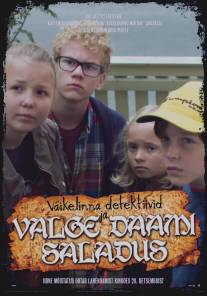 Дети-детективы и секрет Белой леди/Vaikelinna detektiivid ja valge daami saladus (2013)