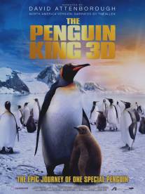 Король пингвинов/Penguin King, The (2012)