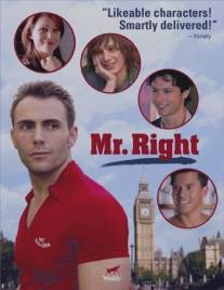 Мистер идеал/Mr. Right (2009)