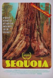 Национальный парк Секвойя/Sequoia (2014)