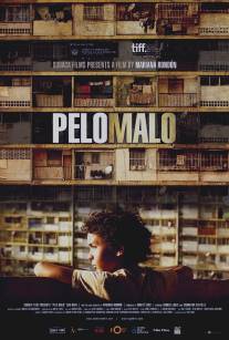 Плохая прическа/Pelo malo (2013)