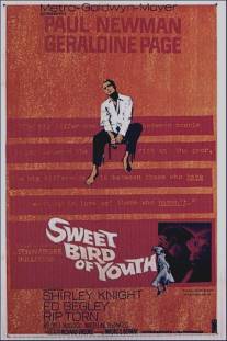 Сладкоголосая птица юности/Sweet Bird of Youth (1962)