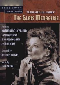 Стеклянный зверинец/Glass Menagerie, The (1973)