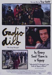 Странный чужак/Gadjo dilo (1997)