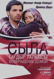 Сыла. Возвращение домой/Sila (2006)