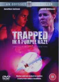 В ловушке фиолетового тумана/Trapped in a Purple Haze (2000)