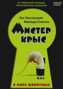 Мистер крыс/Rat (2000)