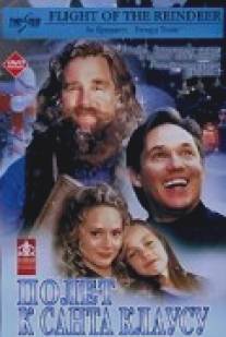 Полёт к Санта Клаусу/Christmas Secret, The (2000)