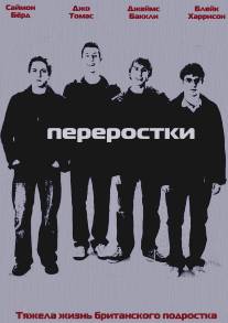 Переростки/Inbetweeners, The (2008)