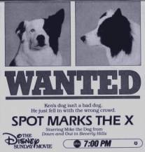 Собачий секрет/Spot Marks the X (1986)