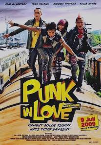 Влюбленный панк/Punk in Love (2009)