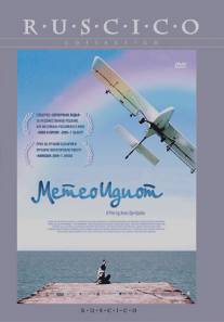 Метеоидиот/Rainbowmaker, The (2008)