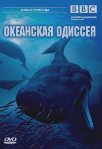 BBC: Океанская одиссея/Ocean Odyssey (2006)