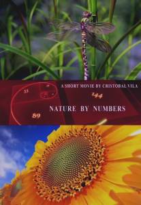 Природа в числах/Nature by Numbers (2010)