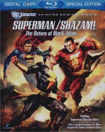 Витрина DC: Супермен/Шазам! - Возвращение черного Адама/DC Showcase: Superman\/Shazam!: The Return of Black Adam (2010)