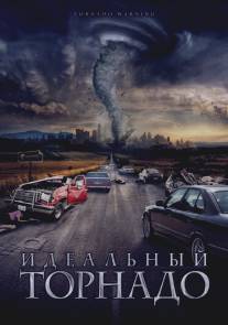 Идеальный торнадо/Tornado Warning (2002)