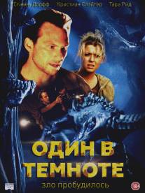 Один в темноте/Alone in the Dark (2004)